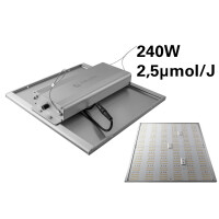 Caluma Growbox Komplettset 80x80x180 cm, 240 W, für 2 Pflanzen